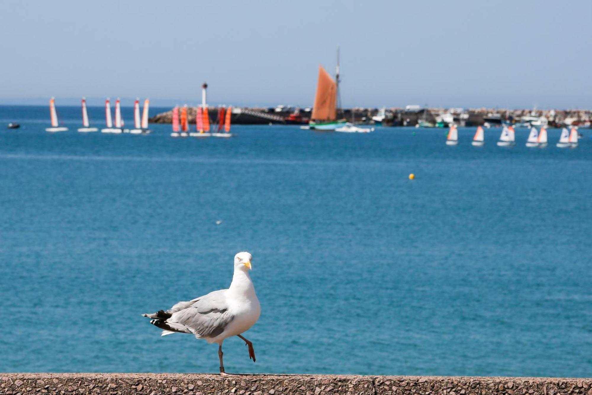 Apartment 25m De La Plage, Vue Mer, Pour 4